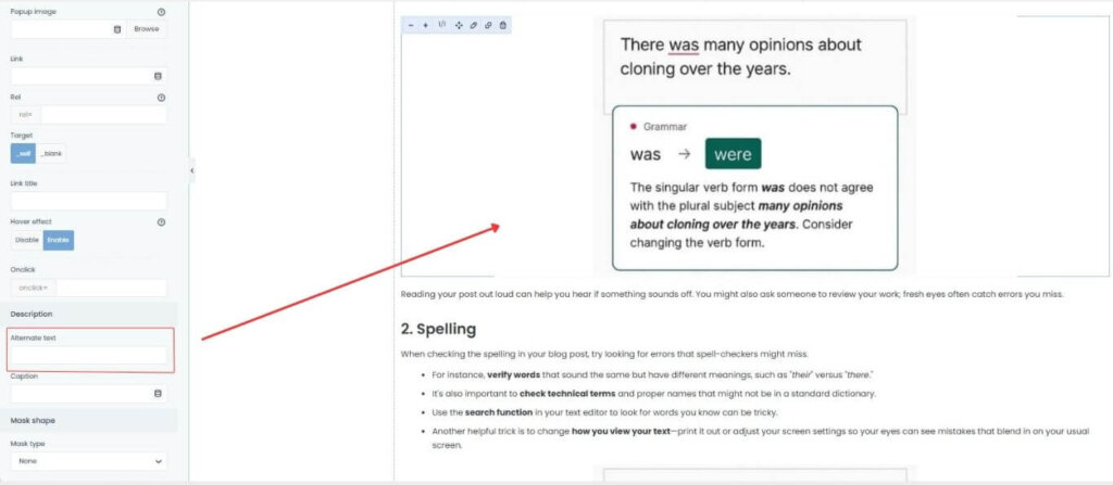 Editor panel with alt text field — how to choose images for social media posts with accessibility in mind.